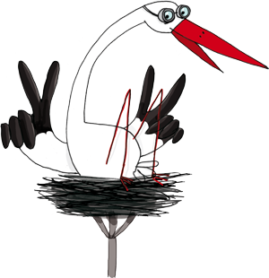 storch-foto